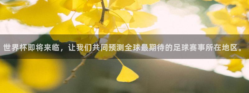 世界杯预赛赛程:世界杯即将来临,让我们共同预测全球最期待的足球赛事所在地区。