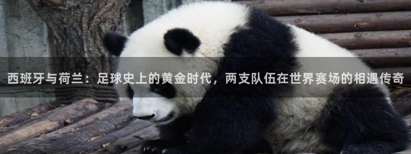 世界杯足球直播:西班牙与荷兰:足球史上的黄金时代,两支队伍在世界赛场的相遇传奇