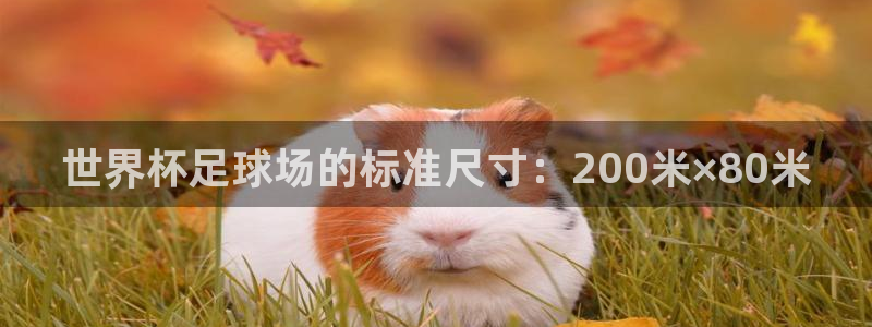 世界杯转播表:世界杯足球场的标准尺寸:200米×80米