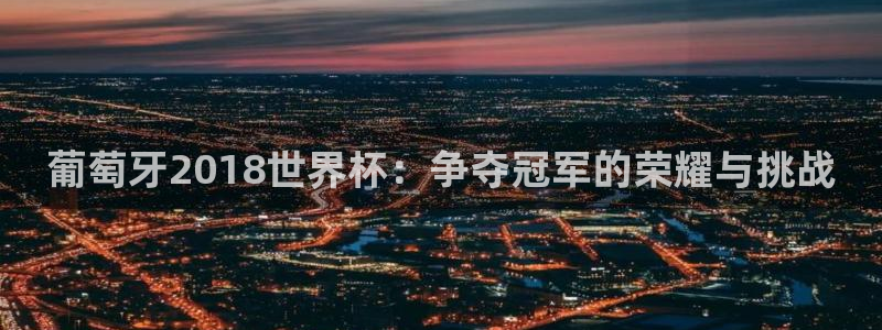 世界杯足球:葡萄牙2018世界杯:争夺冠军的荣耀与挑战
