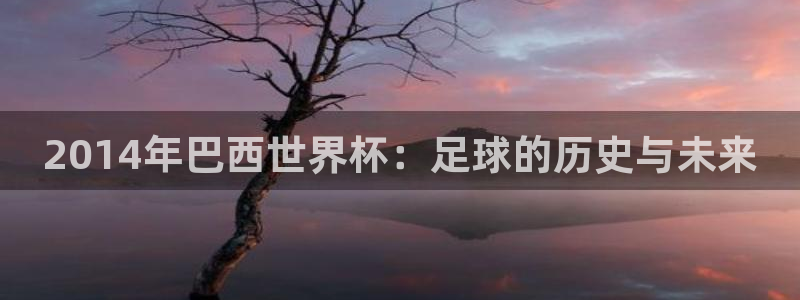 足球杯:2014年巴西世界杯:足球的历史与未来