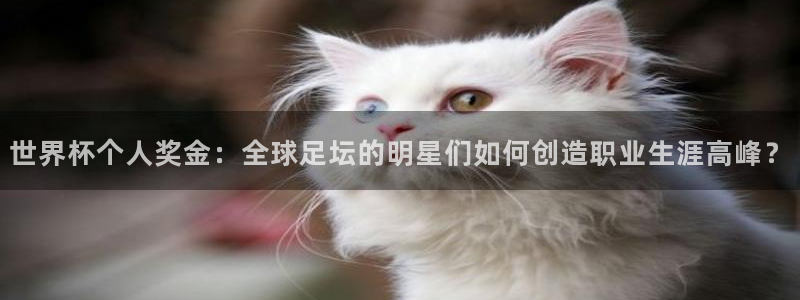 世界杯足球:世界杯个人奖金:全球足坛的明星们如何创造职业生涯高峰?
