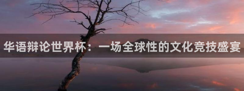 世界杯预选赛亚洲区积分榜:华语辩论世界杯:一场全球性的文化竞技盛宴