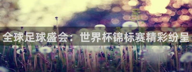 足球世界杯时间:全球足球盛会:世界杯锦标赛精彩纷呈