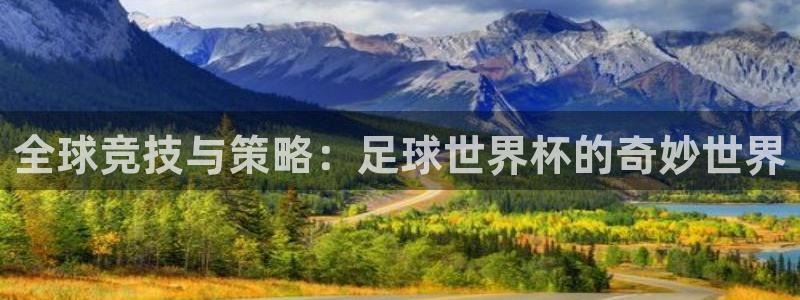 足球比分直播世界杯:全球竞技与策略:足球世界杯的奇妙世界