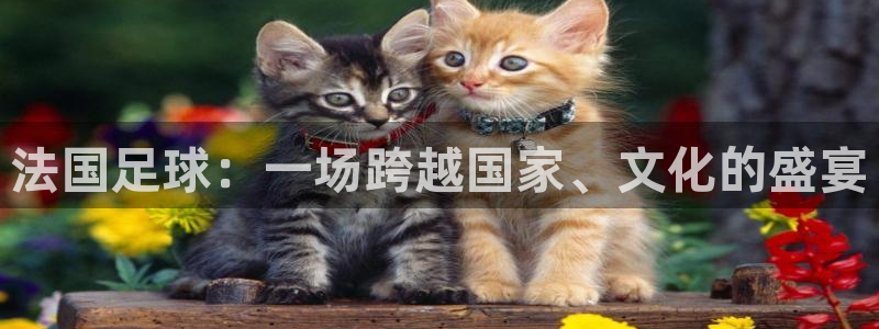 2026世界杯赛程表完整版:法国足球:一场跨越国家、文化的盛宴