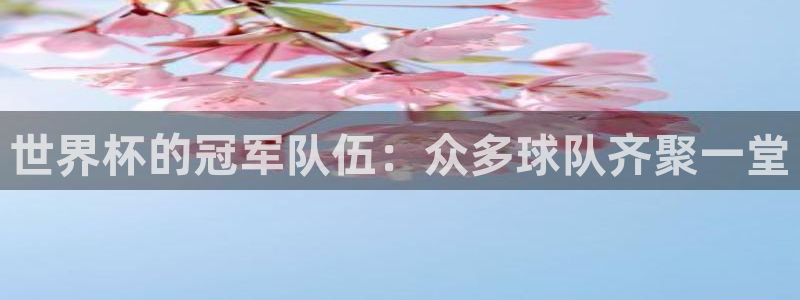 世预赛免费直播入口:世界杯的冠军队伍:众多球队齐聚一堂